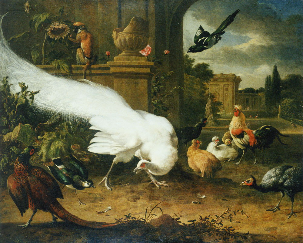 Melchior d'Hondecoeter - The white peacock