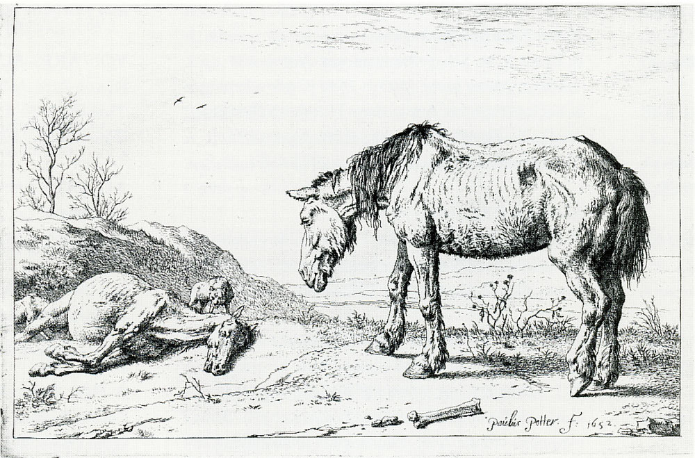 Paulus Potter - Old Horse and a Dead Horse