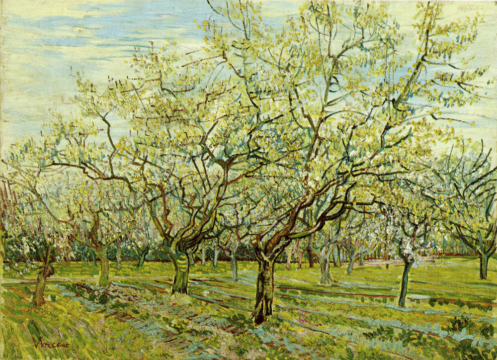 Vincent van Gogh - Orchard with Blossoming Plum Trees