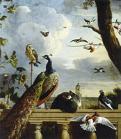 Melchior d - Birds by a balustrade with Amsterdam Town Hall in the background