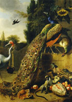 Melchior d'Hondecoeter Peacocks