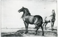 Paulus Potter The Neighing Horse