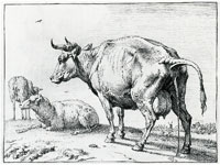 Paulus Potter Pissing cow