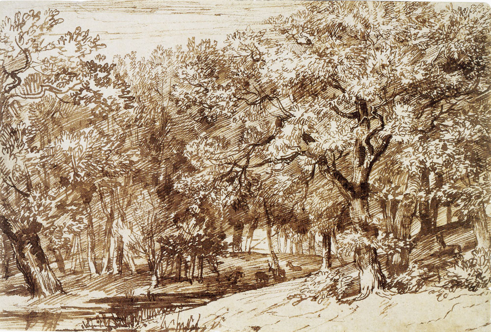Jan Lievens - Densely Wooded Landscape with Deer