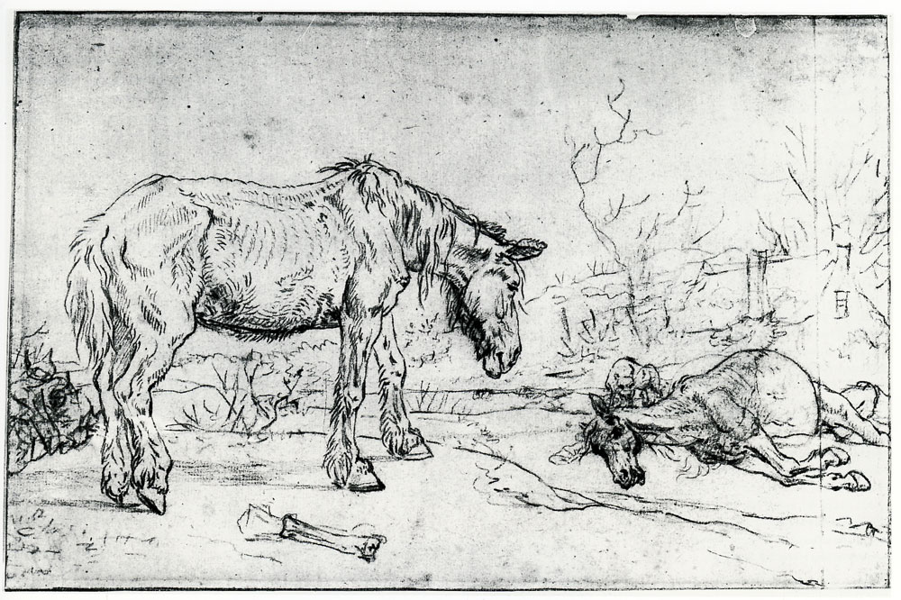 Paulus Potter - An Old and a Dead Horse