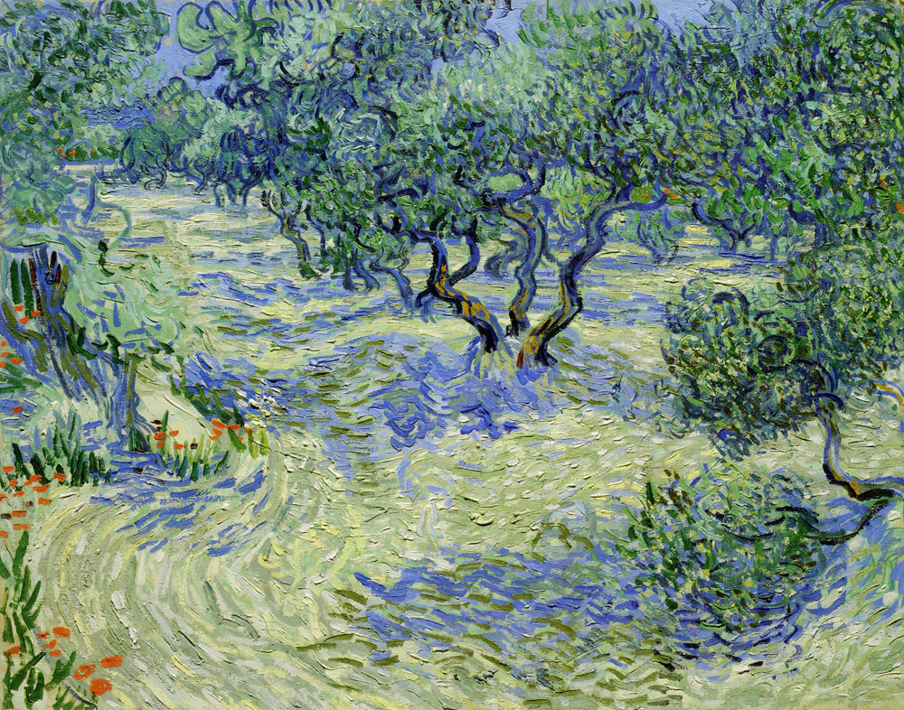 Vincent van Gogh - Olive Orchard