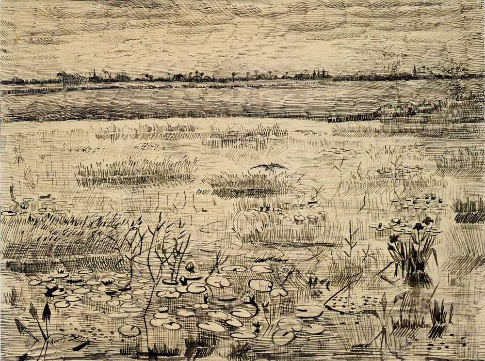 Vincent van Gogh - Marsh with Water Lilies
