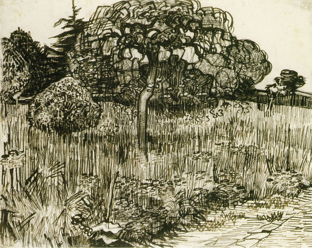 Vincent van Gogh - Weeping Tree on a Lawn