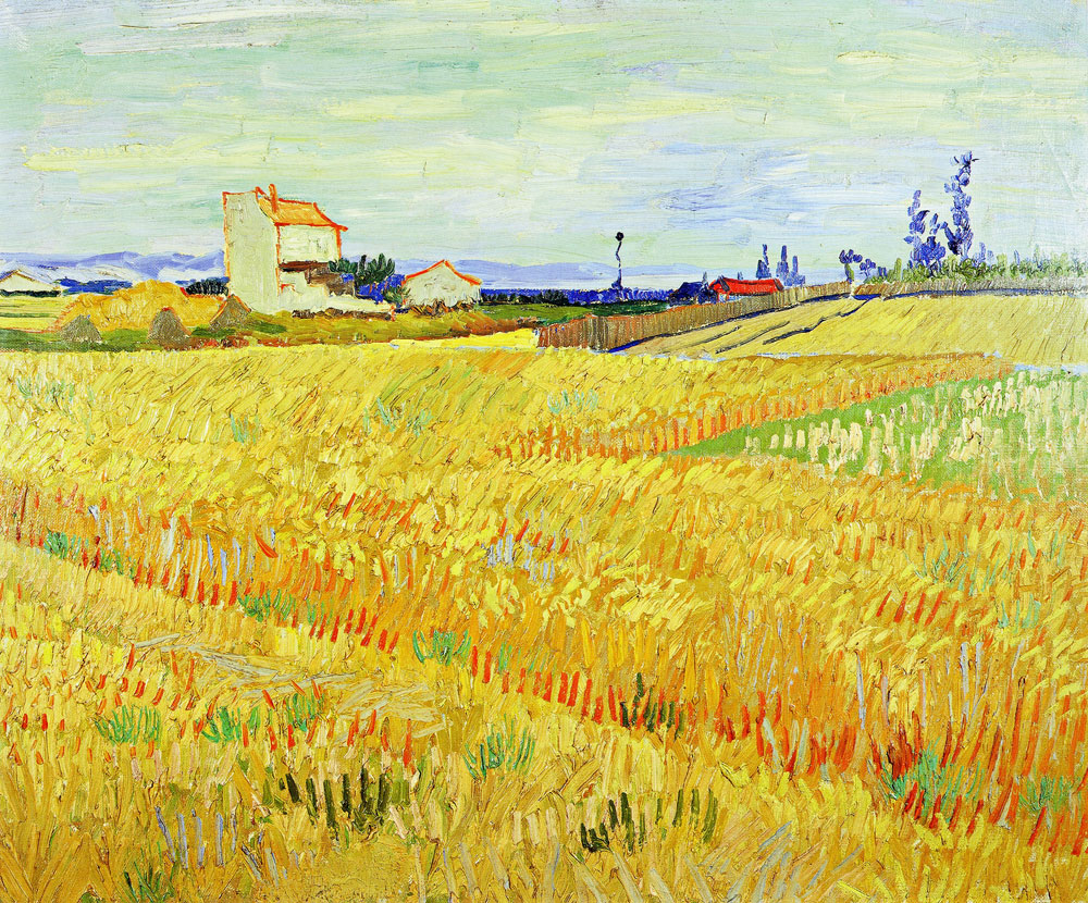 Vincent van Gogh - Wheat Field