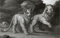 Attributed to Gerbrand van den Eeckhout A Lion and a Lioness