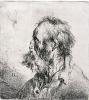 Jan Lievens Bearded Man Facing Left