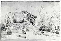 Paulus Potter An Old and a Dead Horse