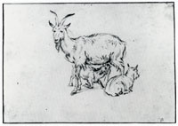 Paulus Potter Goats