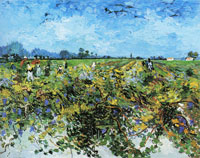 Vincent van Gogh The Green Vineyard