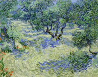 Vincent van Gogh Olive Orchard