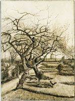 Vincent van Gogh Parsonage Garden