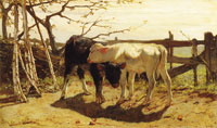 Willem Maris The Calves