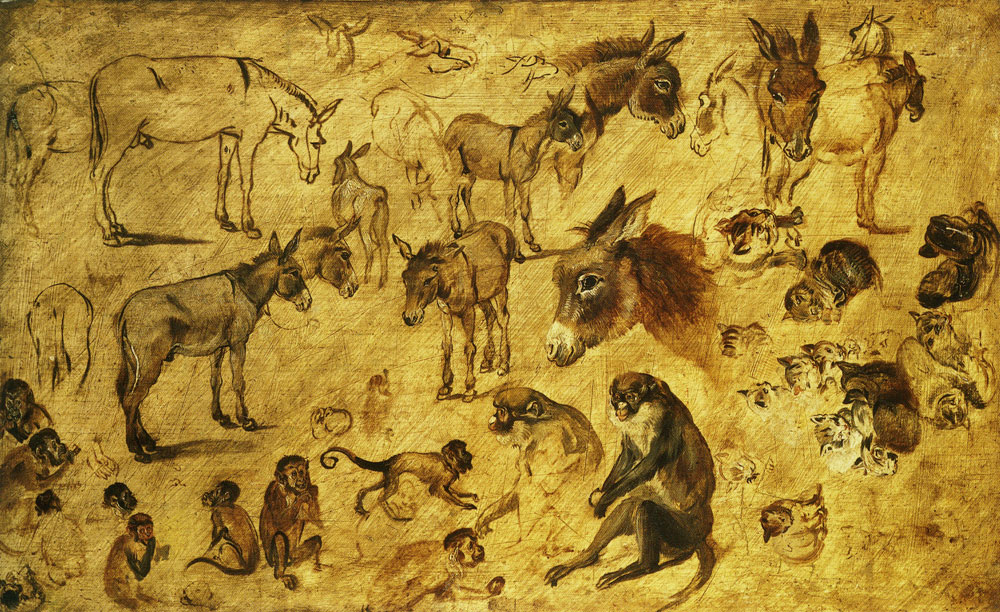 Jan Brueghel the Elder - Studies of Asses, Cats, and Monkeys
