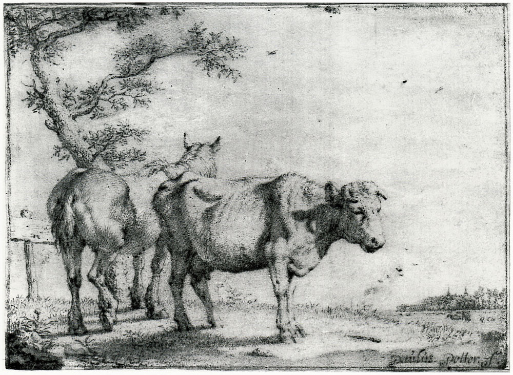 Paulus Potter - A Horse and a Cow