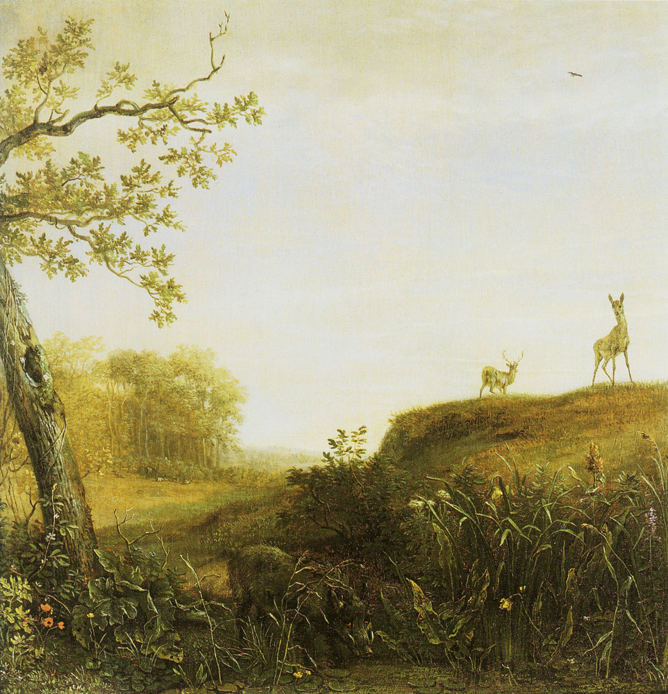 Paulus Potter - Pig and deers in a landscape