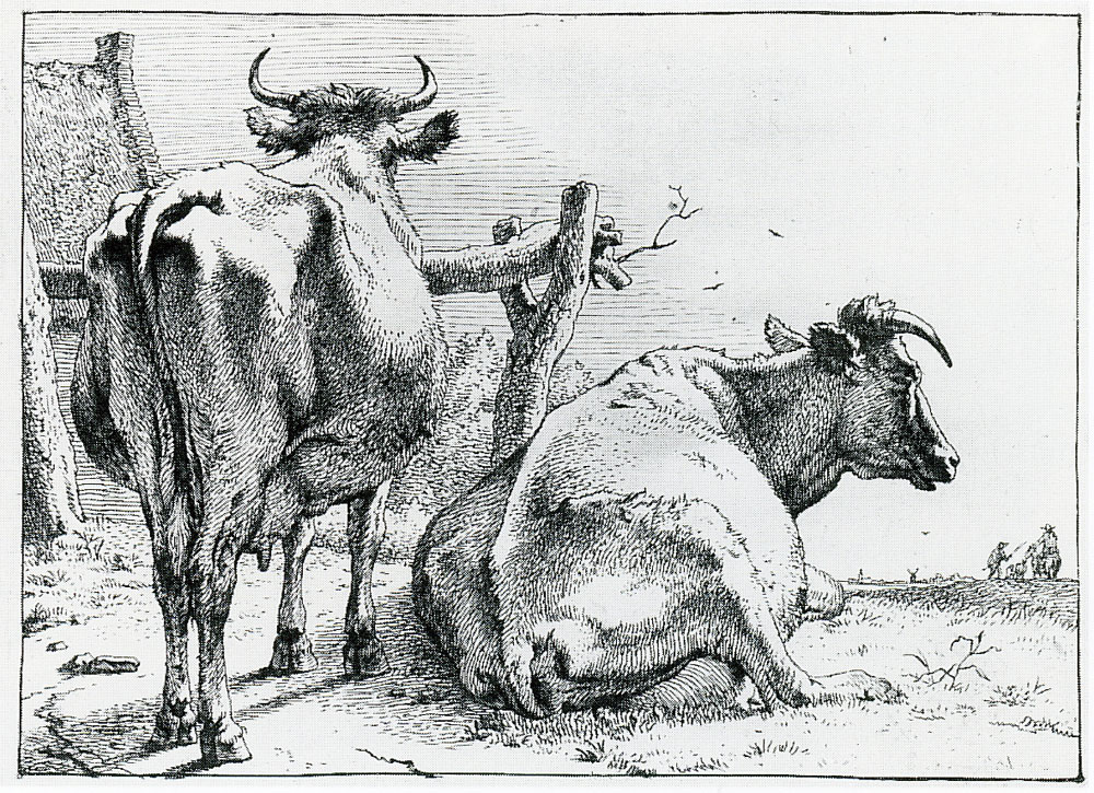 Paulus Potter - Two Cows