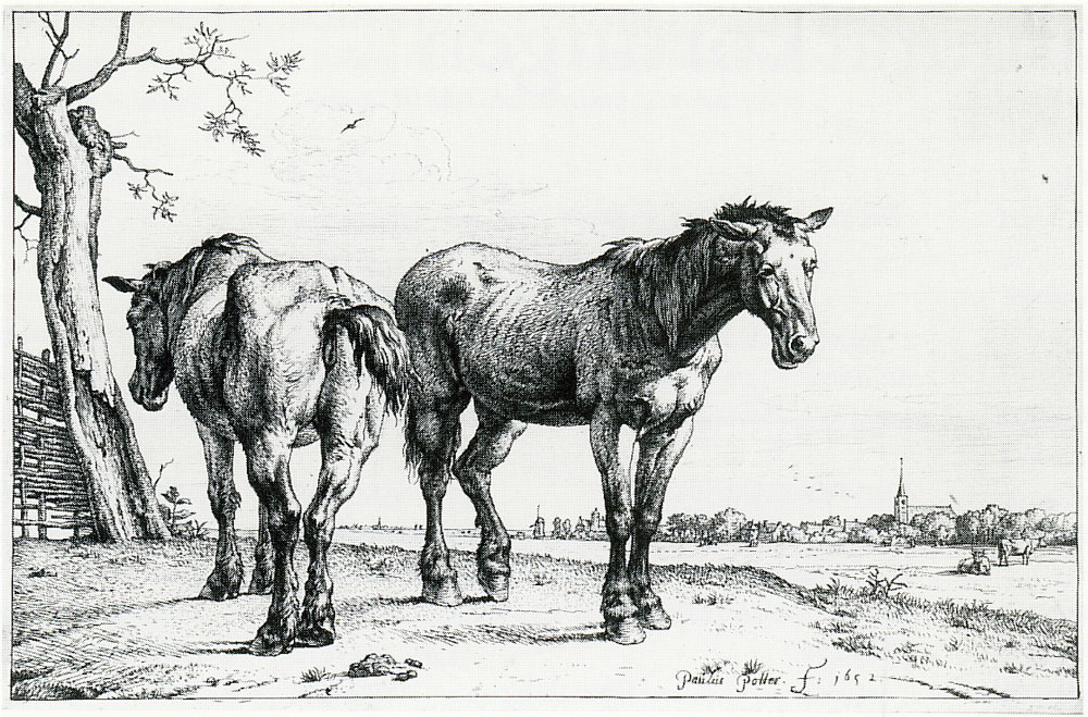 Paulus Potter - Two Horses