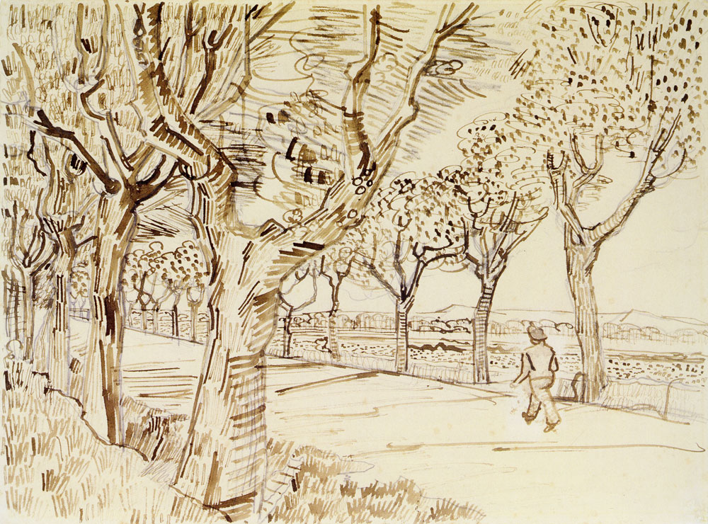 Vincent van Gogh - The Road to Tarascon with a Man Walking