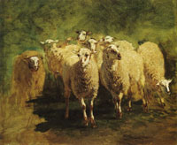 Constant Troyon Sheep