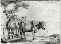 Paulus Potter A Horse and a Cow