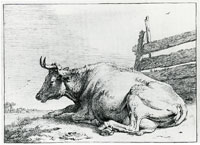 Paulus Potter Lying Cow
