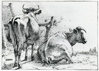 Paulus Potter Two Cows