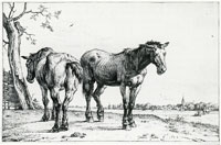 Paulus Potter Two Horses