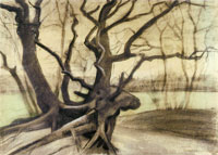 Vincent van Gogh Study of a Tree
