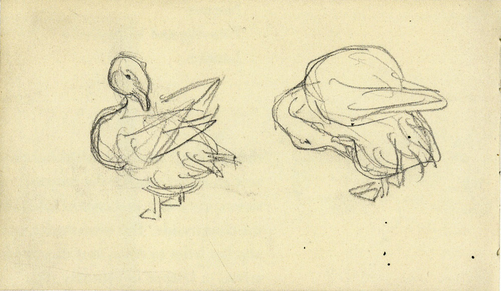 Claude Monet - Study of Ducks