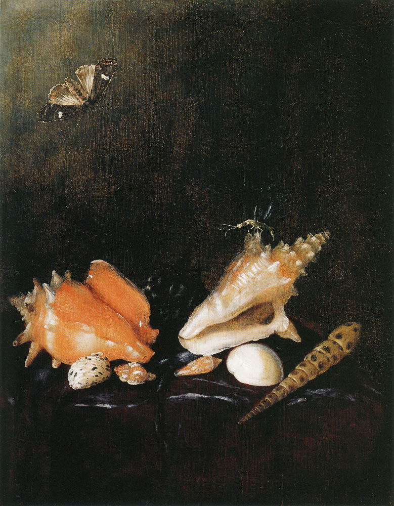 Pieter van de Venne - Still Life with Shells and Insects
