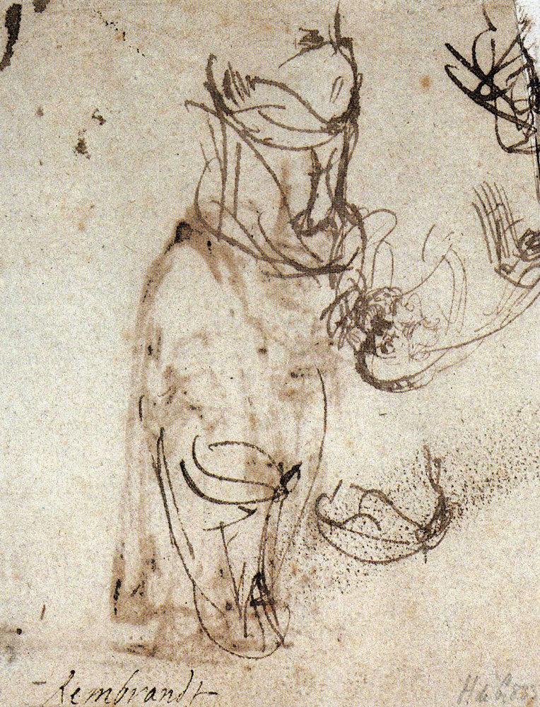 Rembrandt - Sketch of a Bearded Old Man