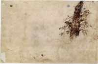 Jan Lievens - Sketch of a tree trunk