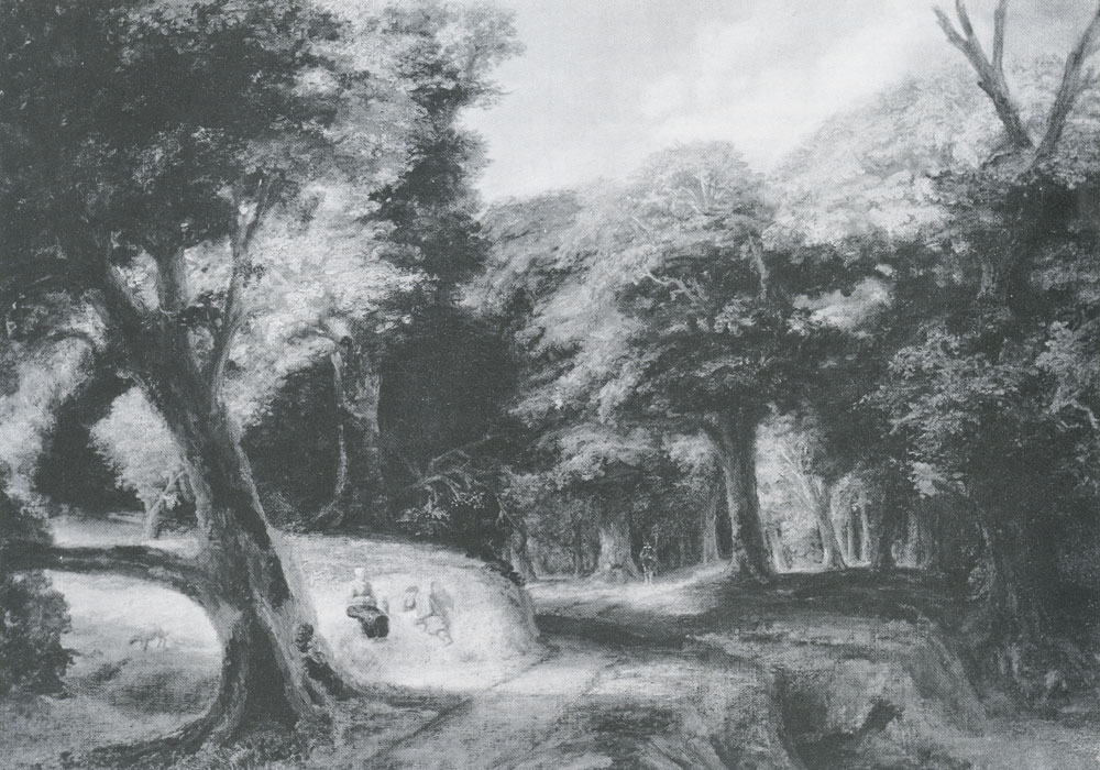 Abraham Furnerius - Forest landscape