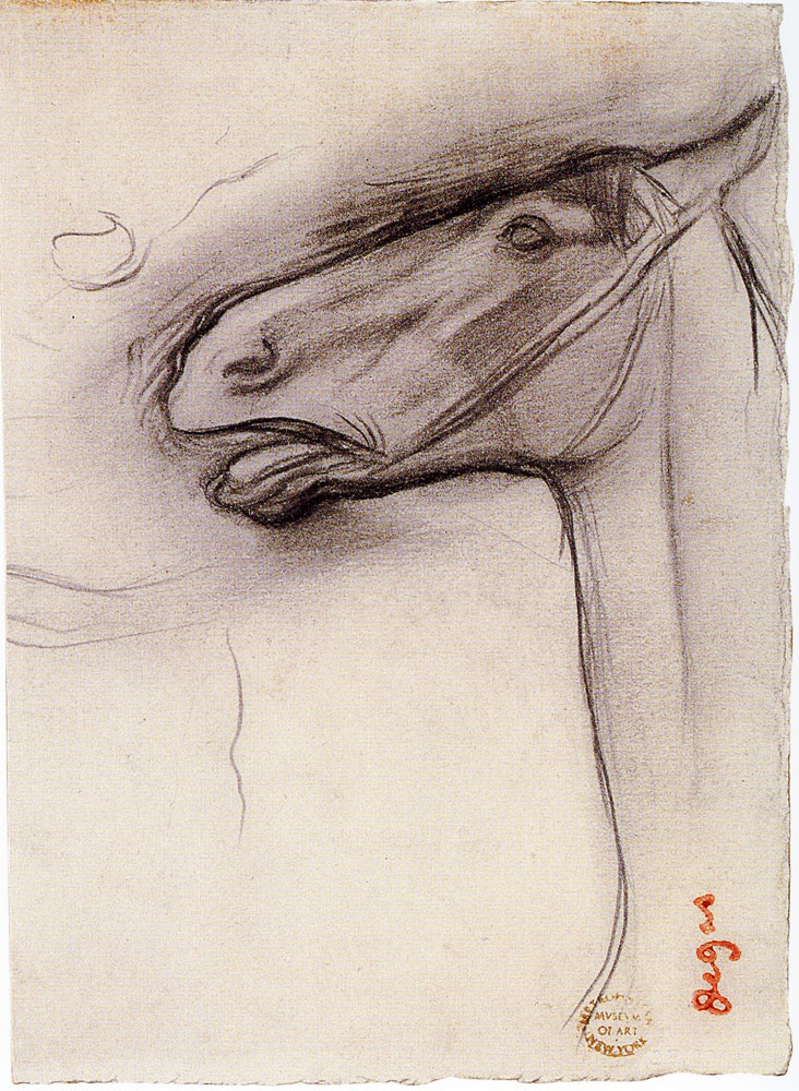 Edgar Degas - Head of a Horse
