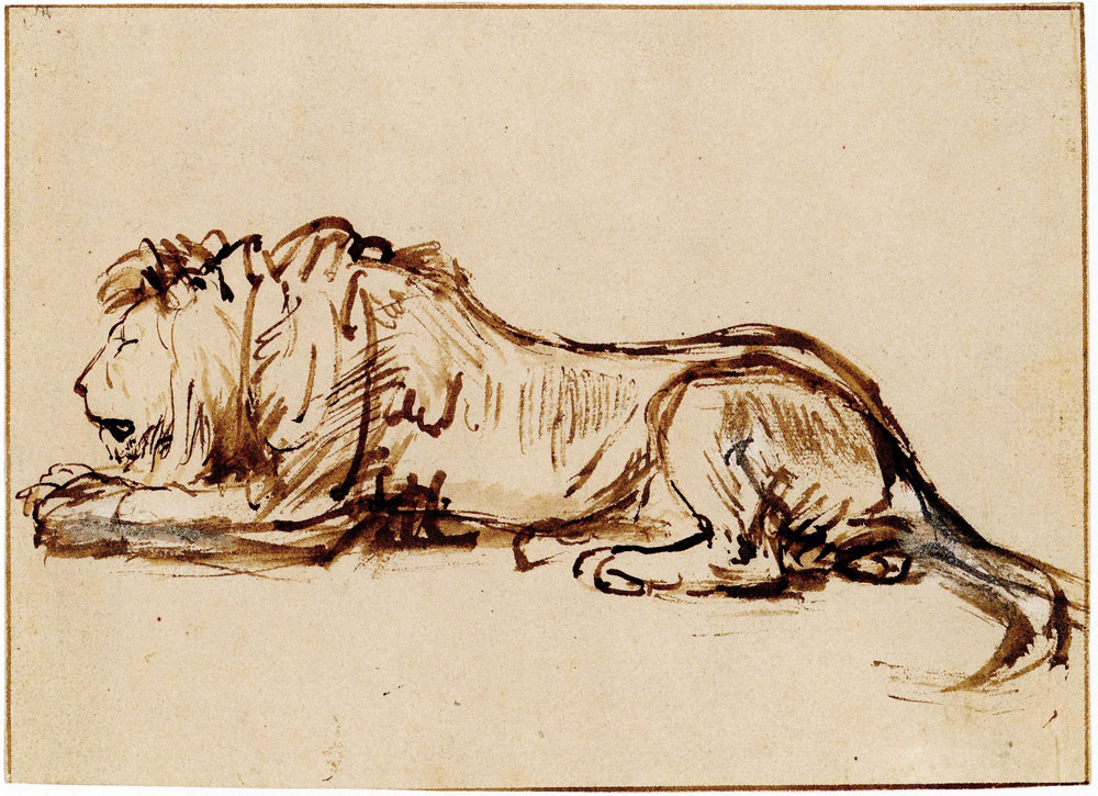 Rembrandt School - Lion asleep, to the left