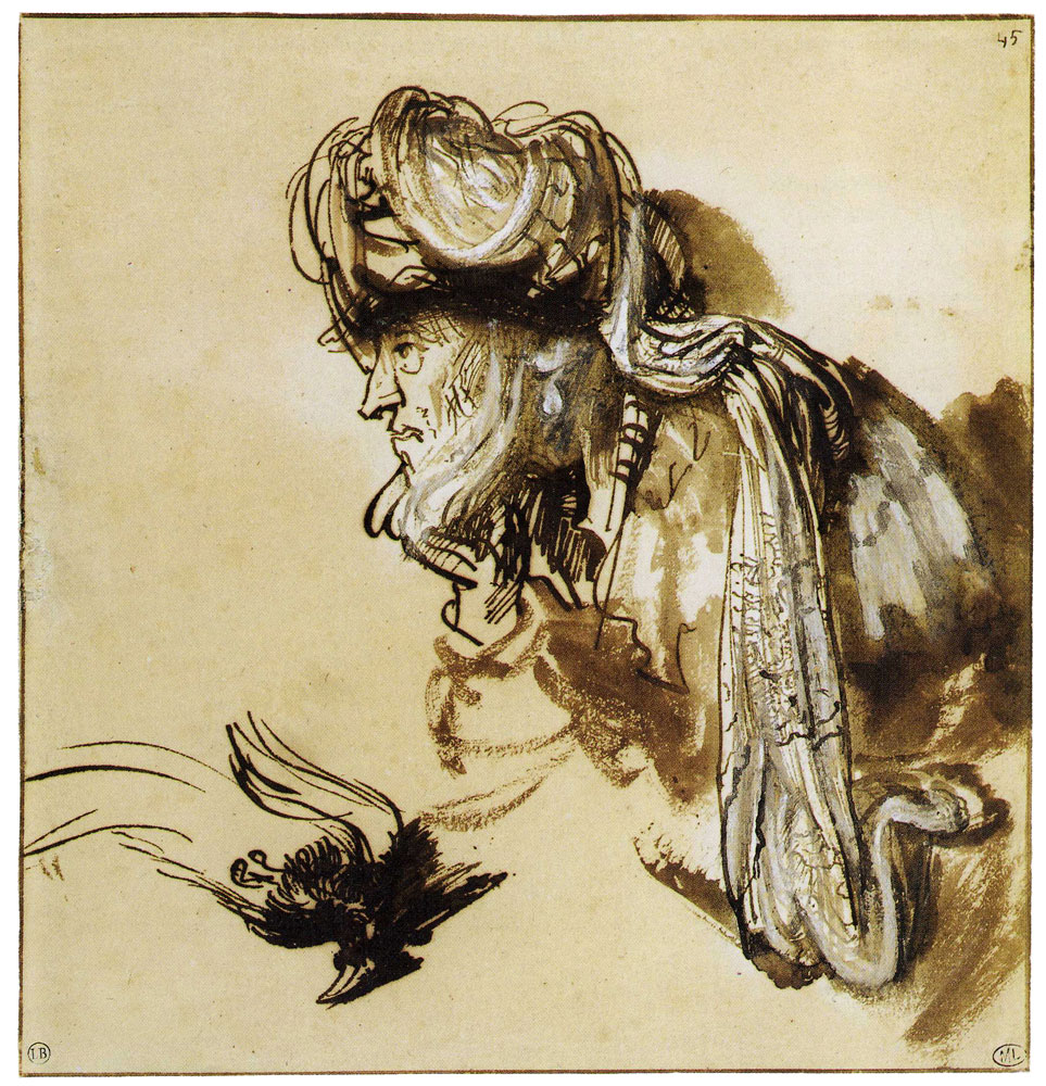 Rembrandt - Head of an Oriental in a Turban, and a Dead Bird of Paradise