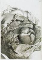 Gerard de Lairesse The Dissection of a Uterus with Fetus