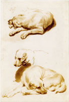 Gerbrand van den Eeckhout Studies of a dog lying down