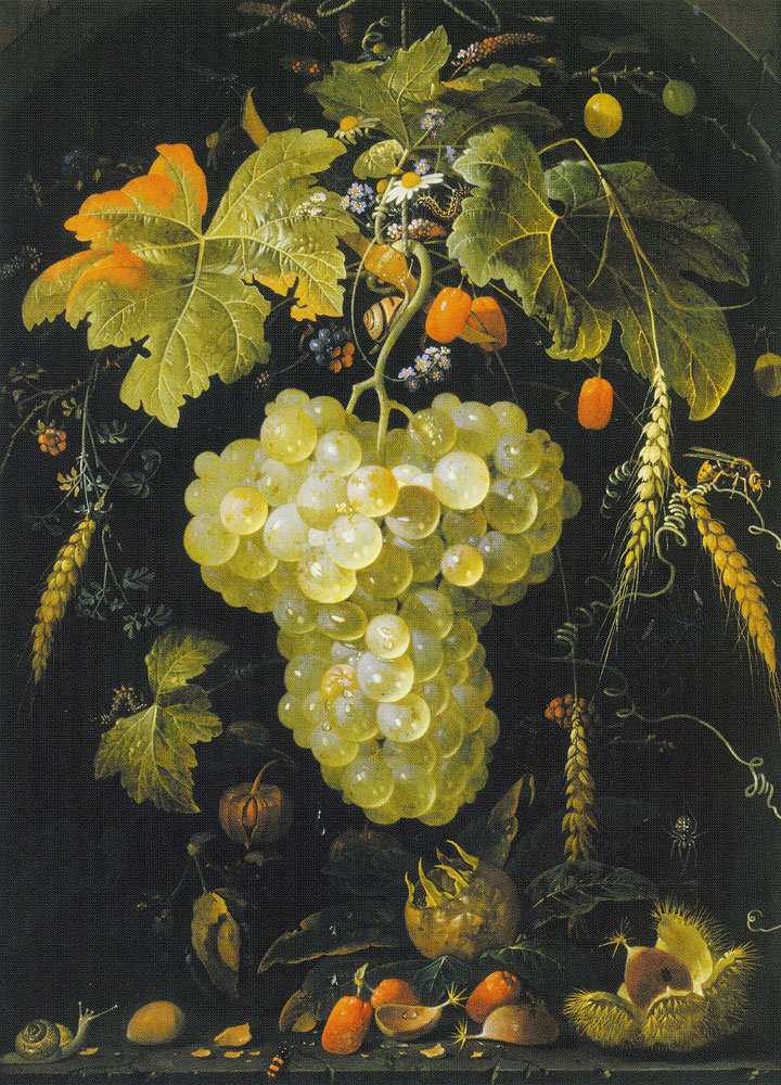 Abraham Mignon - Grapes