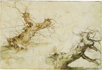 Abraham Bloemaert Studies of Two Pollard Willows