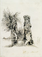 Claude Monet Tree Trunks at La Mare au Clerc