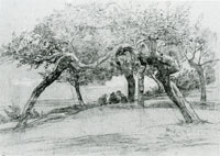 Eugene Boudin Apple Trees at Saint-Simeon