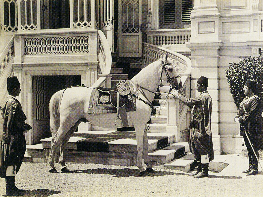 Abdullah Freres - Steed of the Sultan Abdul Hamid II, Istanbul
