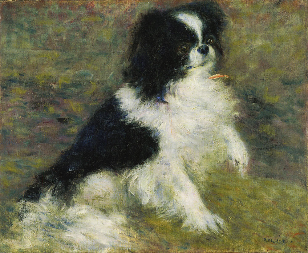 Pierre-Auguste Renoir - Tama, the Japanese Dog