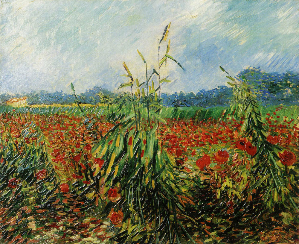 Vincent van Gogh - Green Ears of Wheat